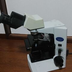 OLYMPUS オリンパス CX31LBSF CX31 双眼生物顕微鏡