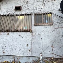 戸建ての壁のツタ清掃