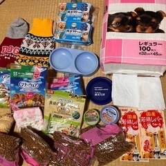  高齢犬/成犬/小型犬 ご飯セット/ちゅ〜る/おもちゃ/おしめ/...