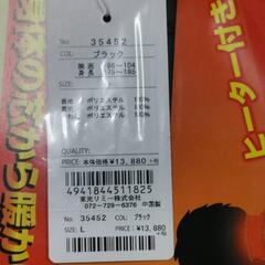 電熱ベスト Lサイズの画像