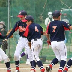【選手大募集】少年硬式野球チーム　東京中野リトルリーグ　小学5,6年生対象　中野　杉並　新宿 − 東京都
