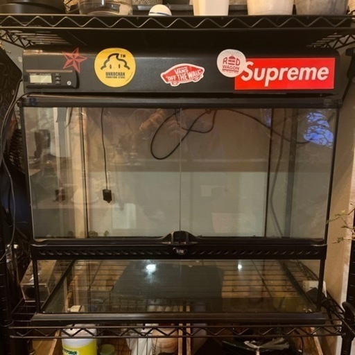 爬虫類　飼育ゲージ　植物育成　GEX 60×45×高さ45