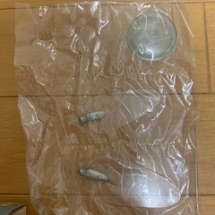 天空の城ラピュタ　フラップターがいっぱいの画像