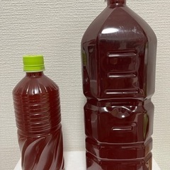 自家製培養PSB 2L 