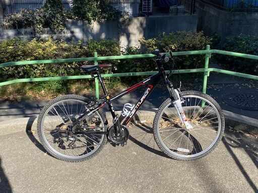 CENTURION(センチュリオン）BackFire　comp　30.26