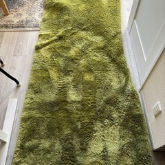 カーペット ラグの画像