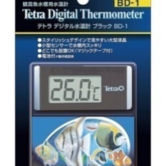 水槽用デジタル水温計　格安で譲ってください❗️