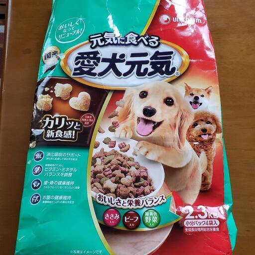 ドッグフード