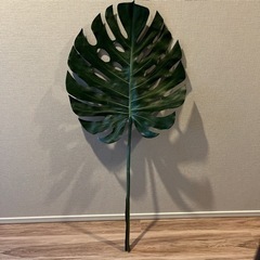 モンテスラ 造花