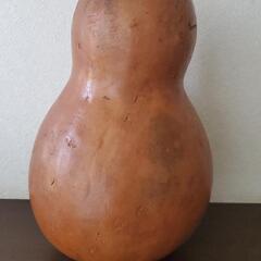 ひょうたんの画像