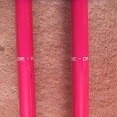 　ジュニアスキー小学校低学年向きの画像