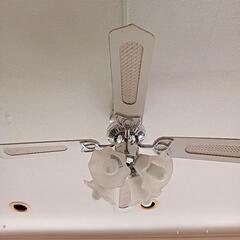 シ―リングファン  汚れあり 12/27までに取りに来てくれる方の画像