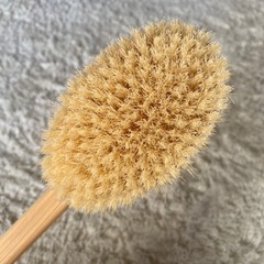 ブラシの画像