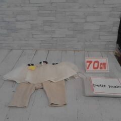 プチマイン　　70㎝　の画像