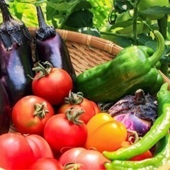 無農薬で作られたお野菜売って下さい！🍅