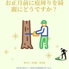 草刈り、木の伐採　お家のお困りごと