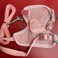 わんちゃん　リード　新品　色　サイズ　色々あります。の画像
