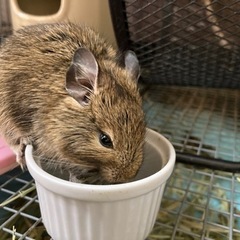 ※ご相談中