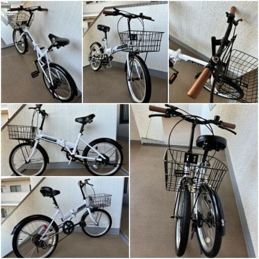 ☆ACE BUDDY☆エース バディ　美車です♪