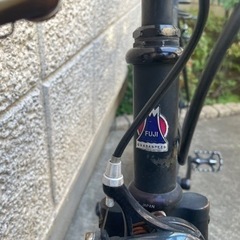 fuji フェザーピスト　色（ブラック）の画像