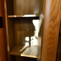   ●近郊配送可(^^♪●伝説の書棚　ブックマン(^^♪●3倍入ってまだあまる！　丸伸　スライド書棚　中古品●相模原　横浜　神奈川●本棚の画像