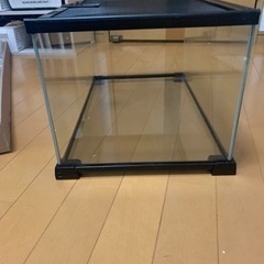 爬虫類ケージの画像