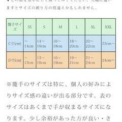 New ALL JAPAN PITCH STANDARD Version 2022 籠手の画像