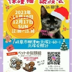 @柳津 🐱 保護猫譲渡会