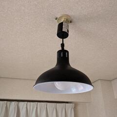 ペンダントライト LED電球付きシーリングライト