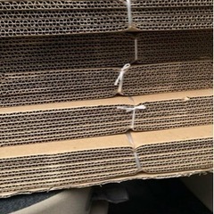 ダンボール　160サイズ　25枚　引き取り大歓迎！の画像