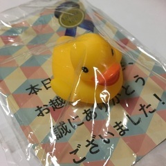 あひるちゃん