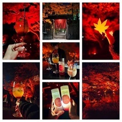 2023年12月第2週❗️白金『八芳園：紅葉散策🍁＆庭園バー🍸』...