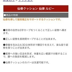 【クッション】猫背矯正・仙骨・骨盤サポート・姿勢矯正の画像