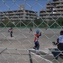 女子ソフトボールチーム　日進フレッシュレディースです！一緒にソフト🥎しましょう！ - さいたま市