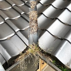 佐渡ヶ島で雨樋掃除・修理 格安で対応いたます！（期間限定） - 地元のお店