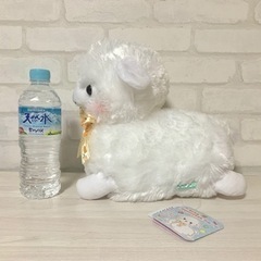 [新品] ベイビーアルパカッソフルーツ JB オレンジの画像