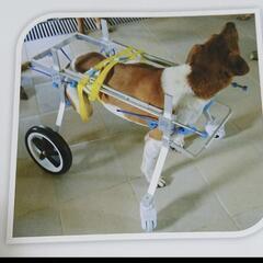 犬、歩行器（車椅子）【小型犬用】の画像