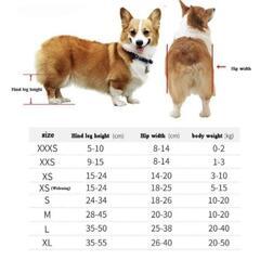 犬、歩行器（車椅子）【小型犬用】の画像