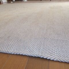 ホットカーペットラグの画像