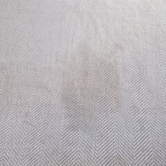 ホットカーペットラグの画像