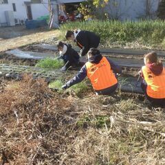 ２０２３年１２月１６日（土）農作業ボランティア参加者を募集しております。 - 豊島区