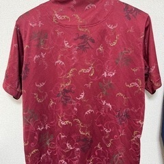 ぽろゆしの画像