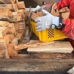 石川県・福井県・岐阜県　配達承ります。乾燥薪500kgの画像