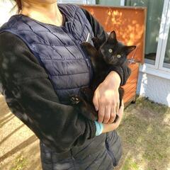 優しそうな飼い主さんが見つかりました。