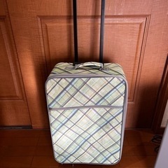 キャリーバッグの画像