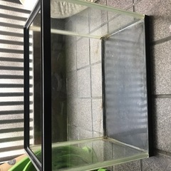 林様