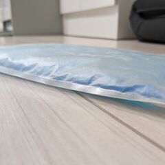 アイスソフト枕、あげます！の画像