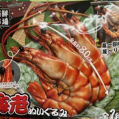 海老 ぬいぐるみ