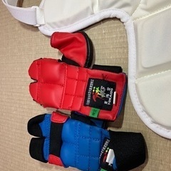 子供用(S、SSサイズ)空手防具一式　JKF検定品の画像