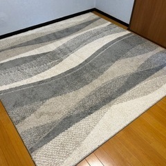 カーペット　200✖️200